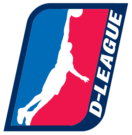 NBA D-League 2006-Pres Alternate Logo iron on heat transfer